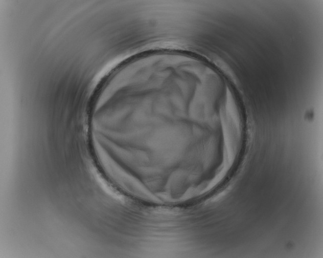 X0000112890981200909181908