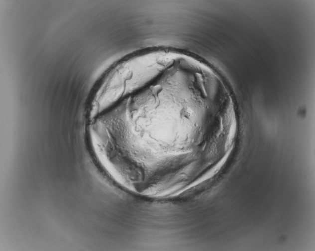 X0000112890983200909181908