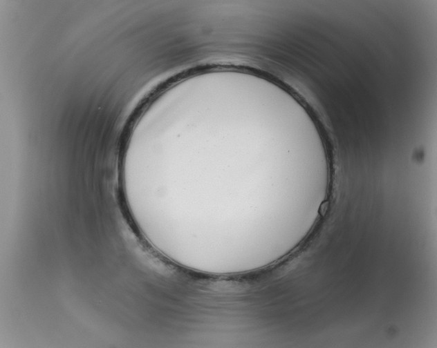 X0000112890984200909181908