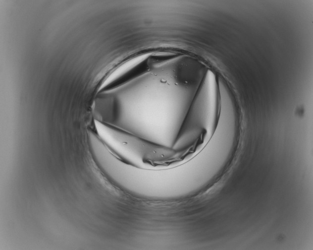 X0000112890985200909181908