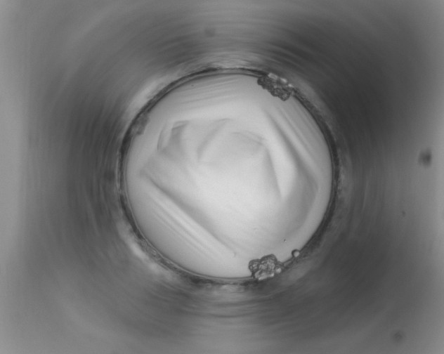 X0000112890986200909181908