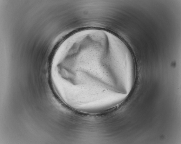 X0000112890987200909181908