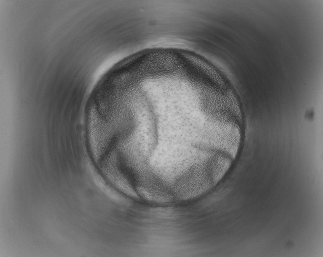X0000112890990200909181908
