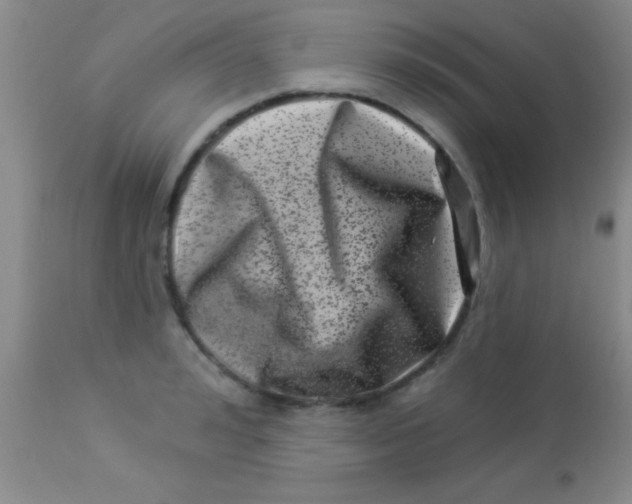 X0000112890992200909181908