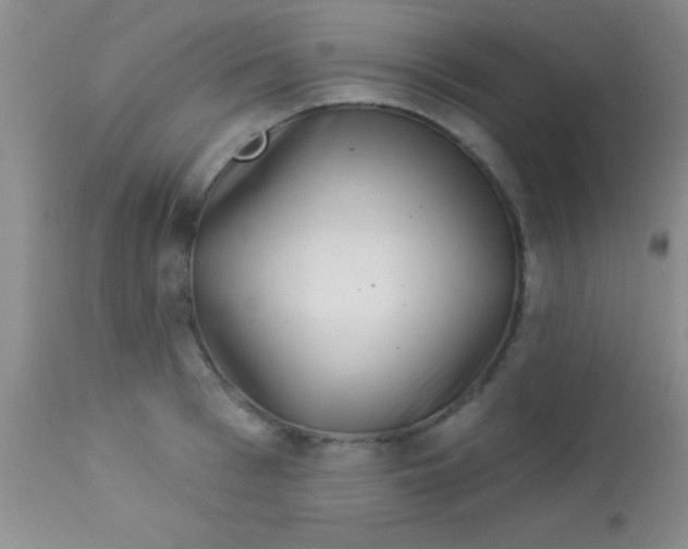 X0000112890993200909181908