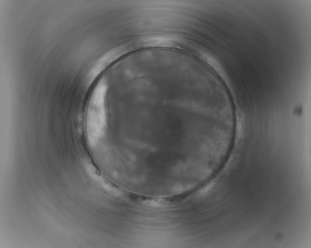 X0000112890994200909181908