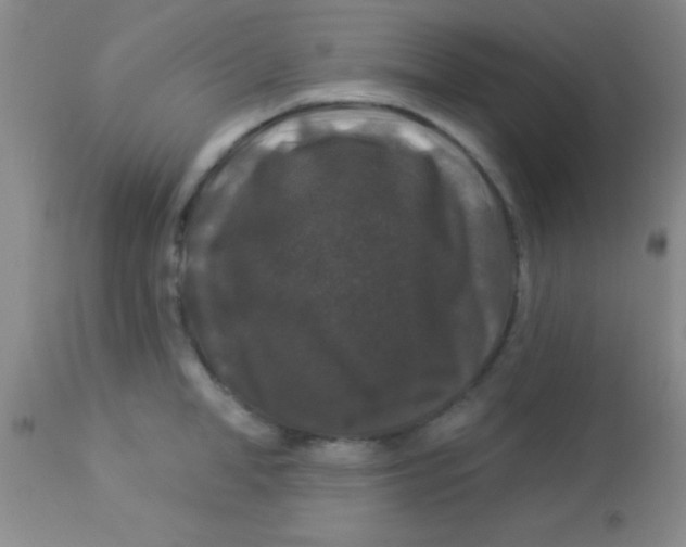 X0000112890998200909181908