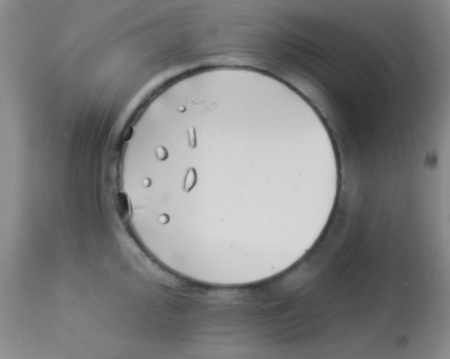 X0000112891000200909181908