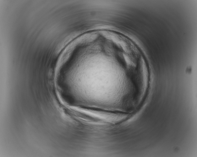 X0000112891001200909181908