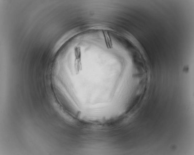 X0000112891002200909181908