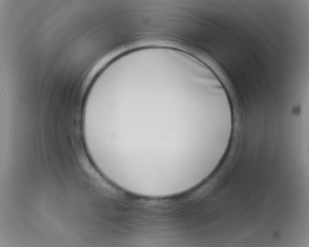 X0000112891004200909181908