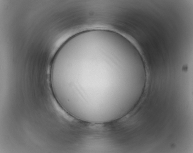 X0000112891006200909181908