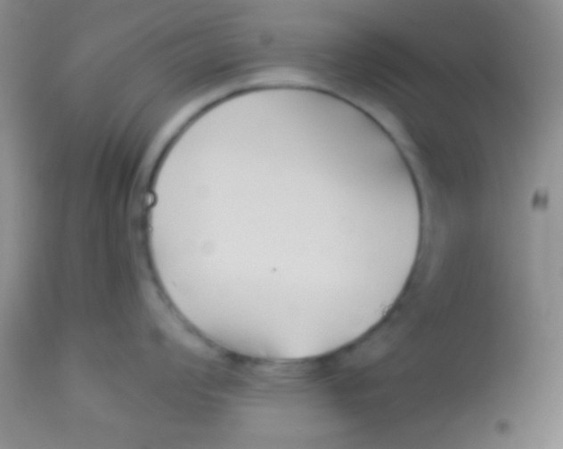 X0000112891008200909181907