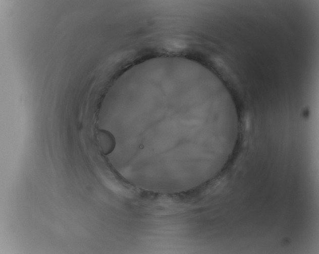 X0000112891009200909181907