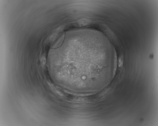 X0000112891011200909181907