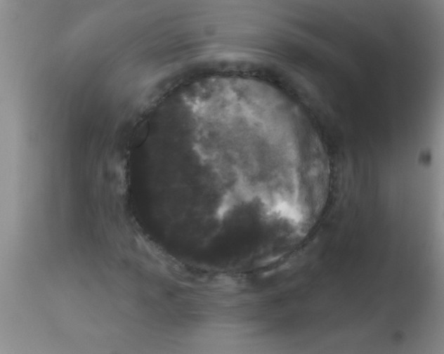 X0000112891013200909181907