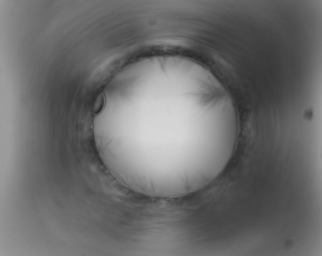 X0000112891014200909181907
