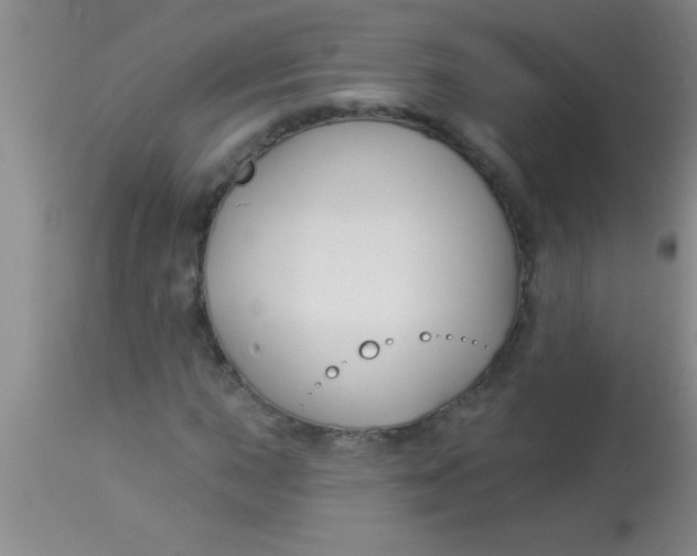 X0000112891015200909181907