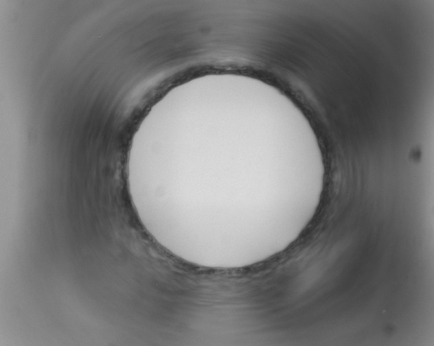 X0000112891016200909181907