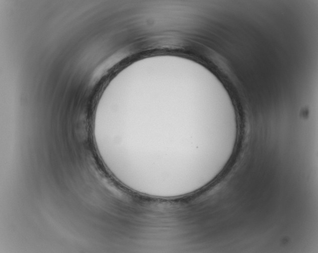 X0000112891018200909181907