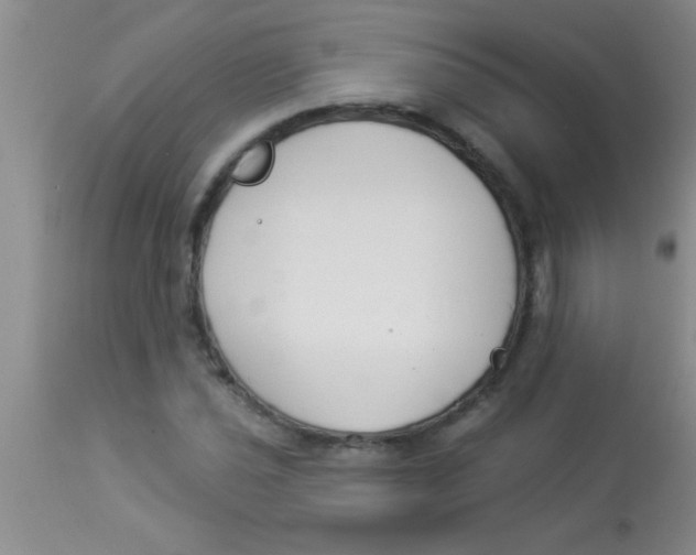 X0000112891021200909181907