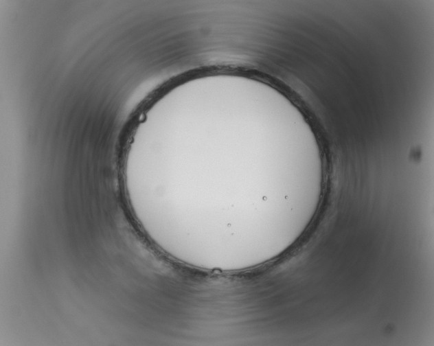 X0000112891022200909181907