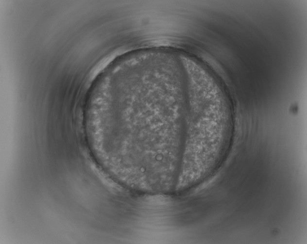 X0000112891023200909181907