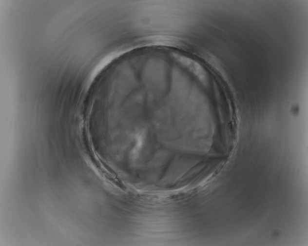 X0000112891024200909181907