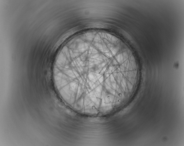 X0000112891025200909181907