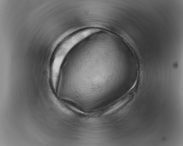 X0000112891028200909181907