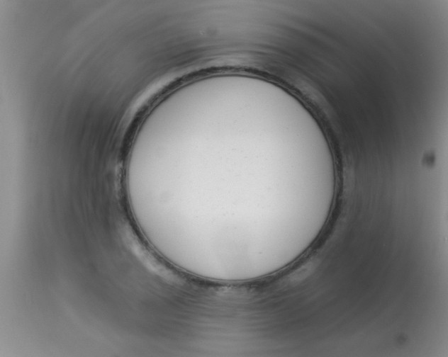 X0000112891029200909181907