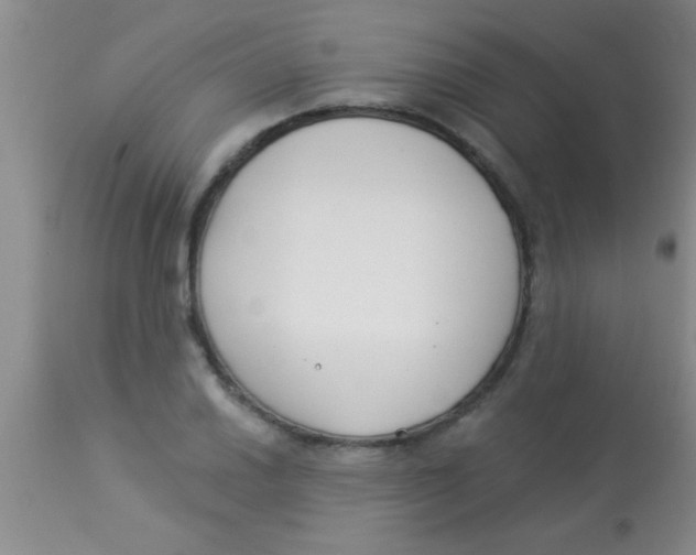 X0000112891030200909181907