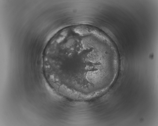 X0000112891031200909181907