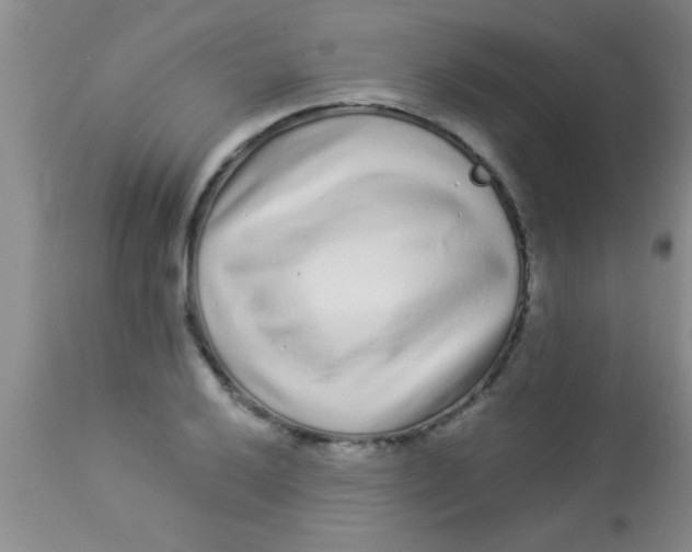 X0000112891032200909181907