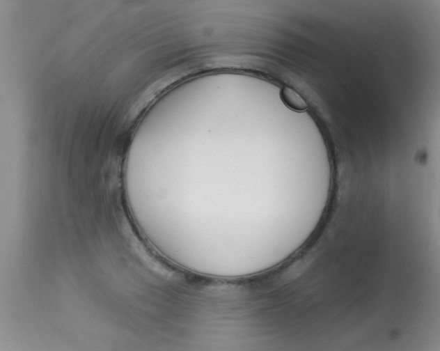 X0000112891033200909181907