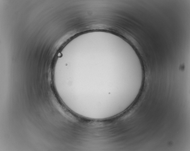 X0000112891034200909181907