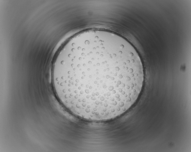 X0000112891036200909181907