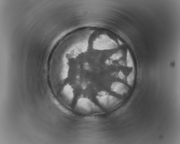 X0000112891037200909181907