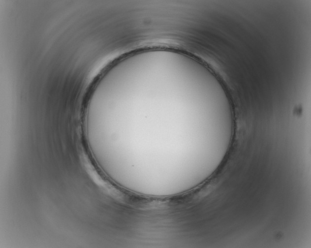 X0000112891038200909181907