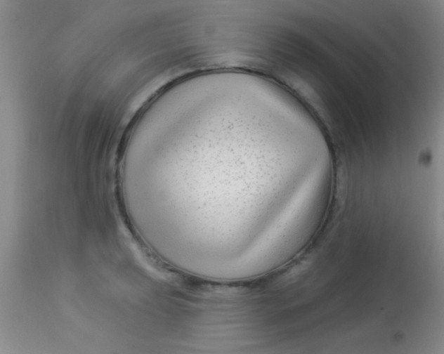 X0000112891039200909181907