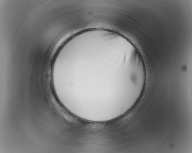 X0000112891040200909181907