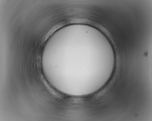 X0000112891041200909181907