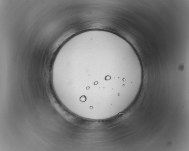 X0000112891042200909181907