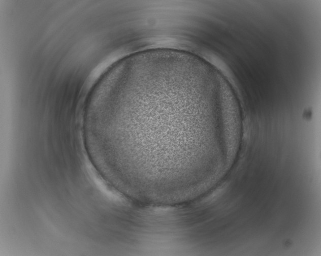 X0000112891043200909181907
