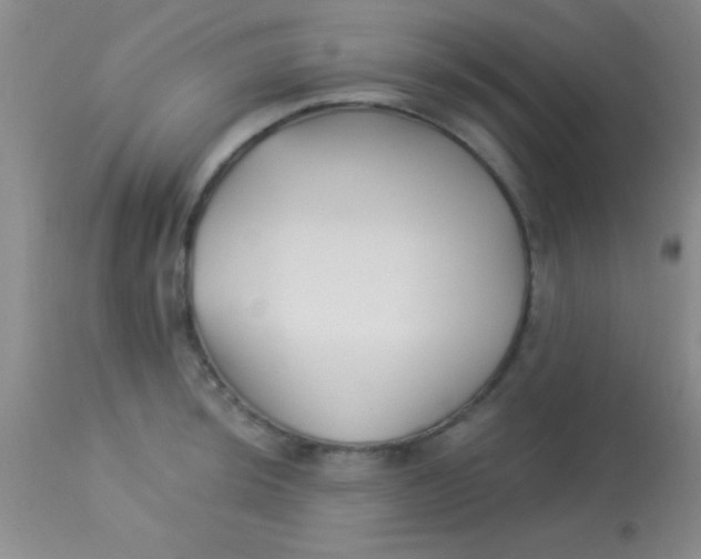 X0000112891044200909181907