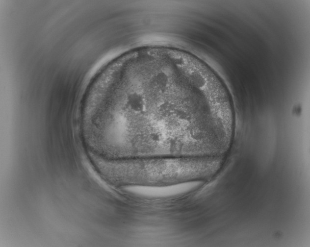 X0000112891045200909181907