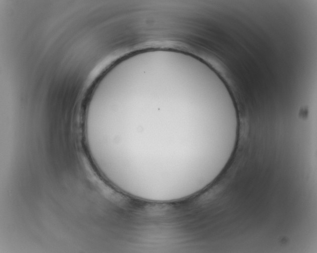 X0000112891046200909181907