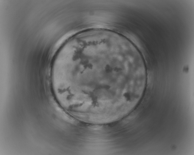 X0000112891048200909181907
