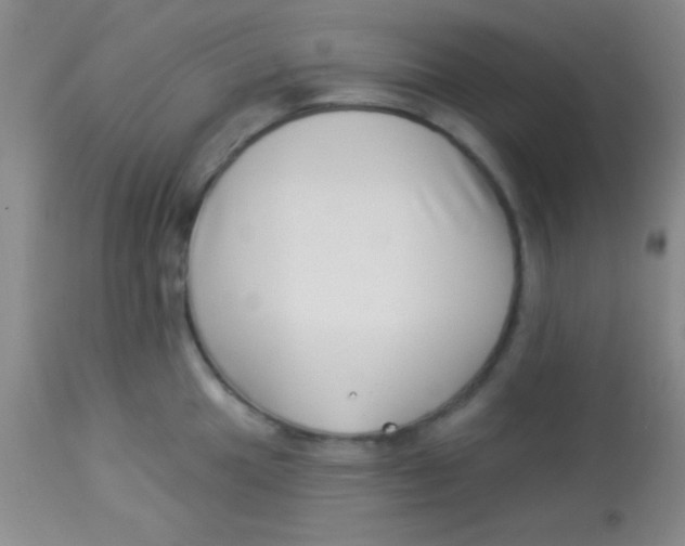 X0000112891049200909181907