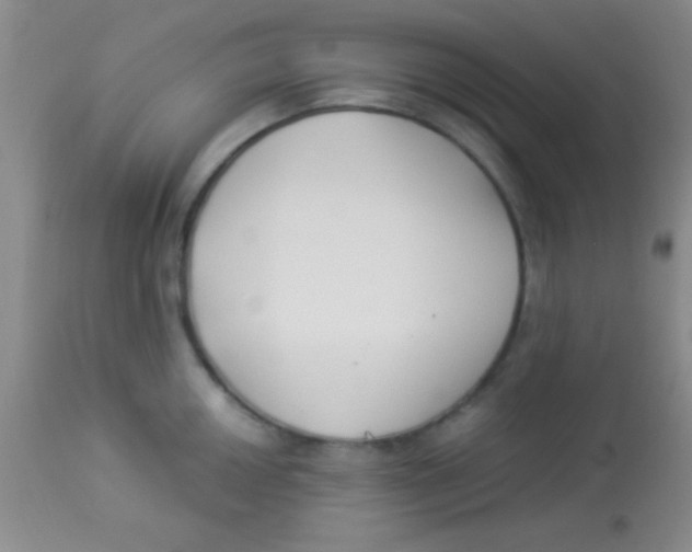 X0000112891050200909181907